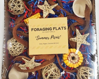 BYOT Foraging Flat - "Summer Picnic" - Interactive, Pre-Made Foraging Activity Center for Cockatiels, Conures, Other Parrots & Birds