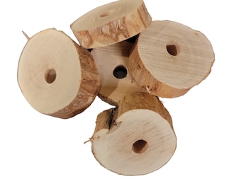 Dragonwood Slices - 5 Pack - Natural Hardwood for Bird Toys