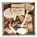 Foraging Bird Toy Tray, Parrot Foraging Flat, Natural Bird Enrichment Toy, Shredding Toy for Cockatiel Conure Quaker Parrot