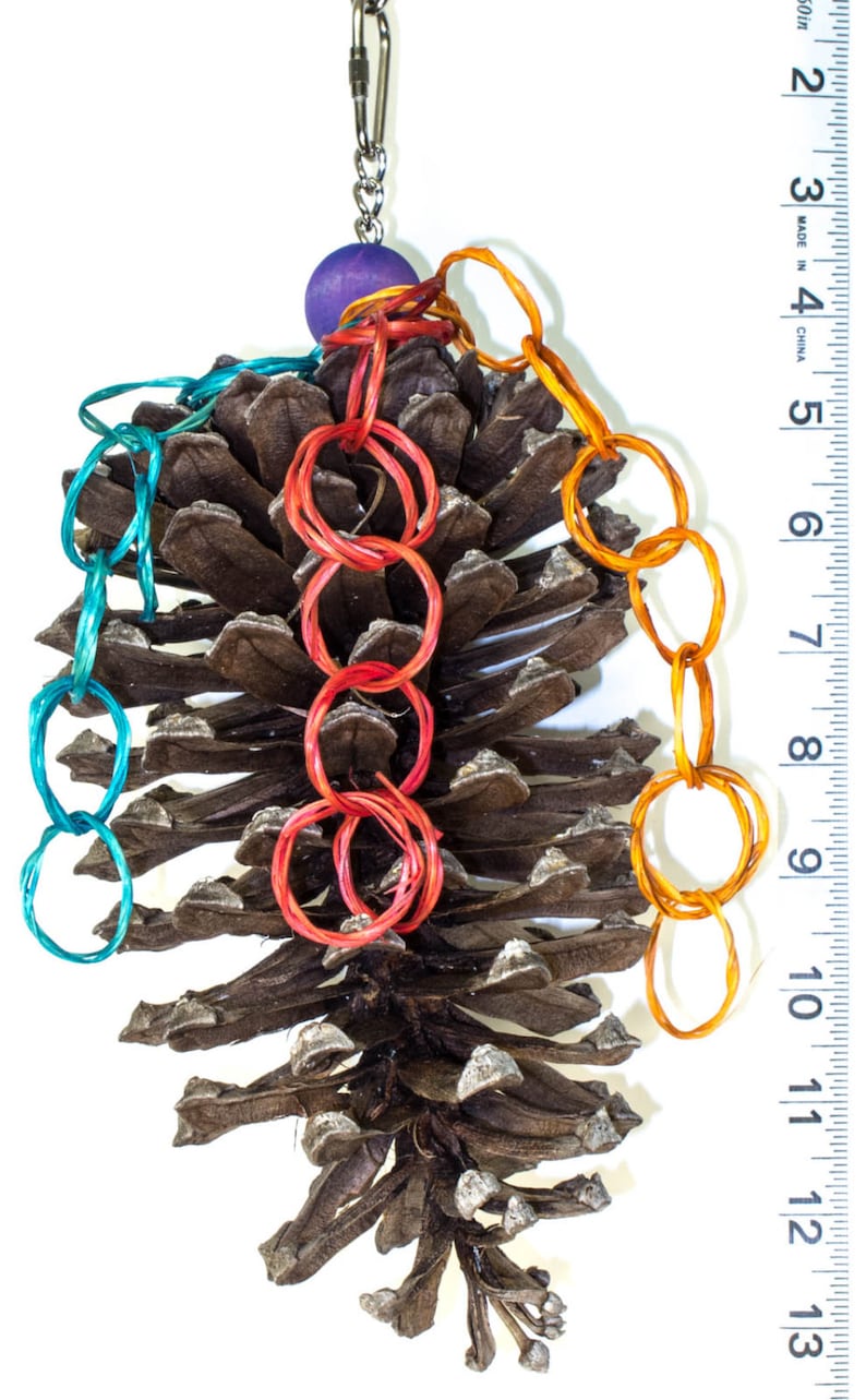 Parrot Toys and Bird Toy Parts by A Bird Toy Jumbo Pine Cone Preener