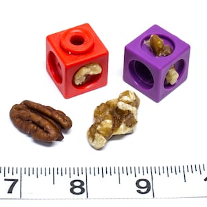 Nut Stuffer Foraging Cubes - 10 Pack - Bird Toy Parts for Parrots, Conures, Cockatiels, Caiques, etc.