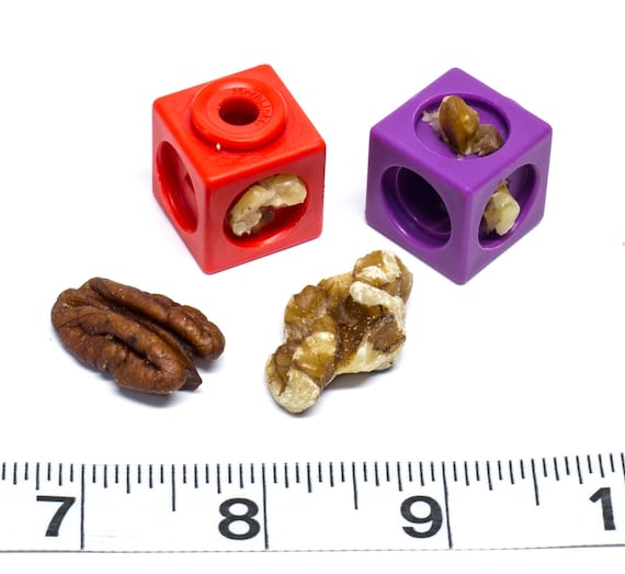 Nut Stuffer Foraging Cubes – Bird Toy Parts, 10 Pack