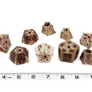 May include: Nine brown wooden star-shaped objects with holes in the center. The objects are arranged on a white surface with a ruler in the bottom of the image.