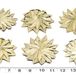 3&quot; Palm Lily Pads - 10 Pack - Parrot Toys and Bird Toy Parts by A Bird Toy