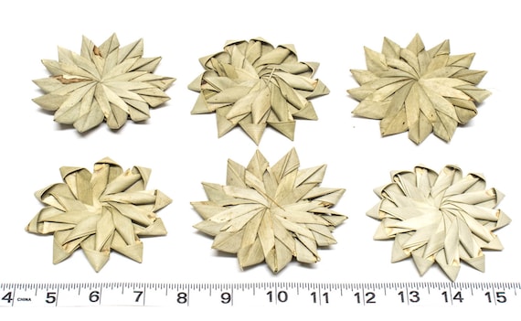 bulk parrot toys