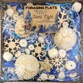 The Original Foraging Flat - "Silent Night" Winter Edition - Interactive, Pre-Made Foraging Activity Center for Birds