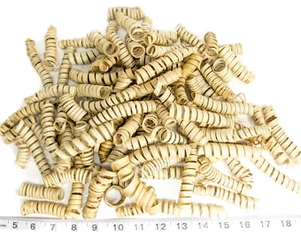 Natural Palm Curls Bird Toy Parts: Parrot Foraging, Crafting - 10 Qty