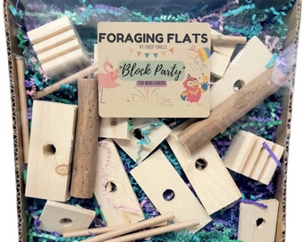 BYOT Foraging Flat - "Block Party" - Interactive, Pre-Made Foraging Activity Center for Caiques, Conures, Other Parrots & Birds