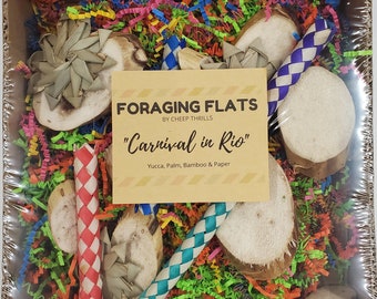 BYOT Foraging Flat - "Carnival in Rio" - Interactive, Pre-Made Foraging Activity Center for Caiques, Conures, Greys, Other Parrots & Birds