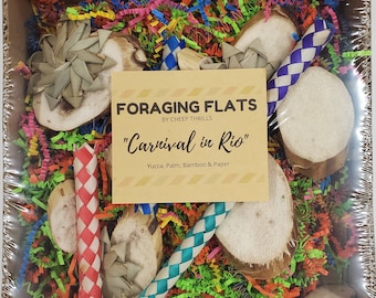 BYOT Foraging Flat - "Carnival in Rio" - Interactive, Pre-Made Foraging Activity Center for Caiques, Conures, Greys, Other Parrots & Birds