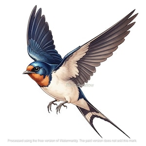 Könnte beinhalten: Digital illustrierte Schwalbe im Flug, mit blauem Kopf und Flügeln, weißer Brust und rot-oranger Kehle. Die Flügel des Vogels sind weit ausgebreitet und zeigen detaillierte Federmuster. Das Bild ist vor weißem Hintergrund.