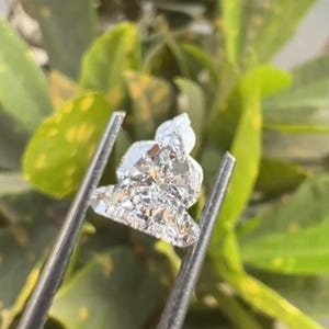 Puede incluir: Un diamante claro y facetado sostenido por unas pinzas plateadas. El diamante tiene una forma inusual, con una base plana y una parte superior redondeada. El fondo presenta hojas verdes.