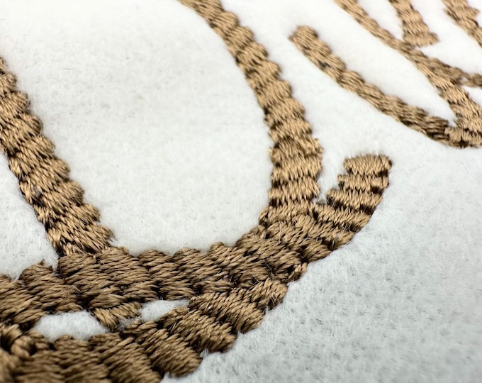 Rope stitch FONT machine embroidery designs in assorted mini sizes alphabet letters playful name monogram girl cowgirl rope lasso BX