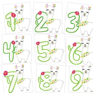 Llama alpaca and cactus Birthday Numbers set 1-9 Applique Designs lama number kids party resort machine embroidery applique designs 5x7 6x10
