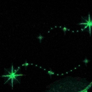 May include: A black background with two constellations of green stars connected by a dotted line.