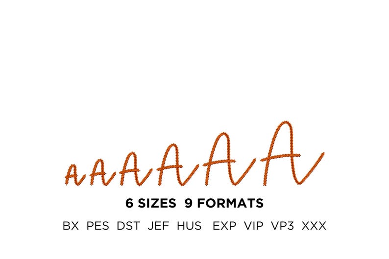 May include: A white background with the word "AAAAA" in a handwritten style, in a gradient orange color. Below the word are the words "6 SIZES 9 FORMATS". Below that are the letters "BX PES DST JEF HUS EXP VIP VP3 XXX".