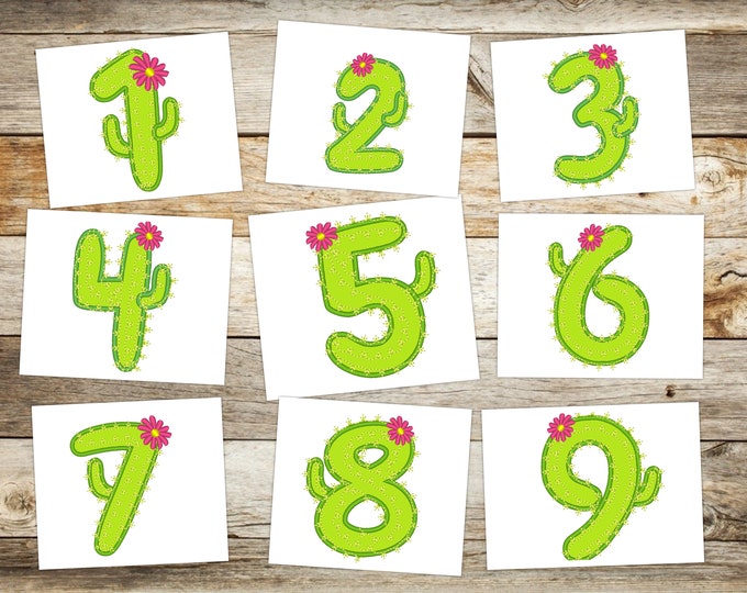 Cute cactus numbers set  Birthday Numbers machine embroidery applique designs assorted sizes birthday party floral cactus for girl, BX incl