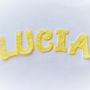 Lace Font FSL monograma de encaje independiente inicial Diseños de bordado de máquina de fuente, letras del alfabeto de encaje congelado de varios tamaños, ¡BX incluido!