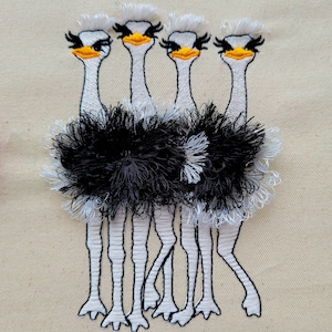Fringed fluffy group of Ostriches flock of Ostriches machine embroidery designs for hoop 5x7 6x10 awesome fringe Ostrich bird in the hoop