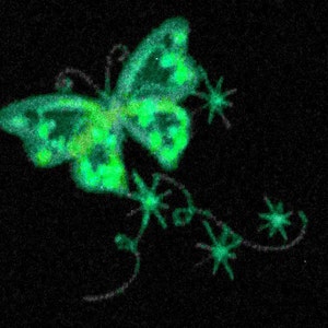 Awesome Butterfly Glow in the dark special glowing thread machine embroidery designs sizes for hoop 4x4, 5x7 fairytale kids flying butterfly