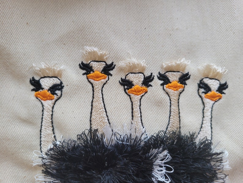 Fringed fluffy flock of 5 ostriches group of ostriches machine embroidery designs for hoop 5x7 and 6x10 awesome fringe ostrich in the hoop ITH by Artapli embroidery format PES HUS JEF EXP DST VIP VP3 XXX instant download