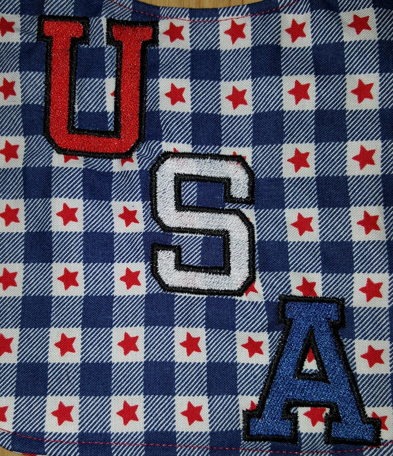May include: A close-up of a blue and white checkered fabric with red stars. The fabric has three felt letters sewn on it that spell out "USA". The "U" is red, the "S" is white, and the "A" is blue.