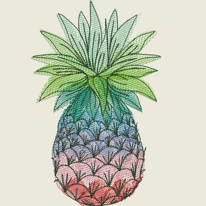 May include: A rainbow-colored pineapple with green leaves. The pineapple is a stylized illustration with a gradient of colors from red to blue.
