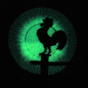 Może przedstawiać: Czarna sylwetka koguta stojącego na słupie, otoczona zielonym kołem z promienistym wzorem.