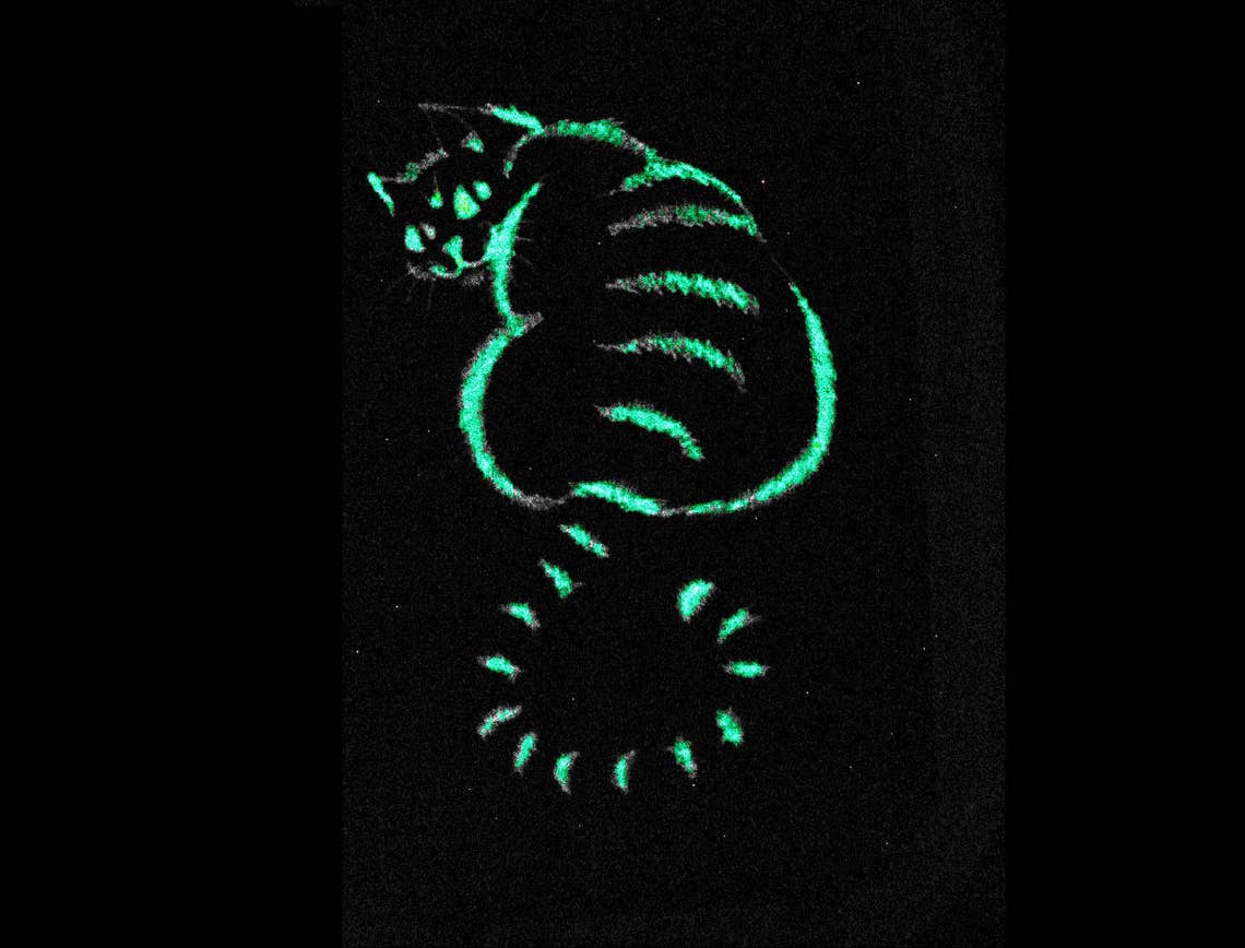 Glow in the Dark Cheshire Cat Night Cat / Glow in the Dark Etsy