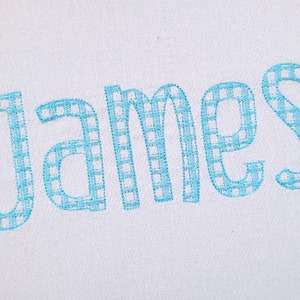 May include: A white fabric with the name "James" embroidered in blue gingham.