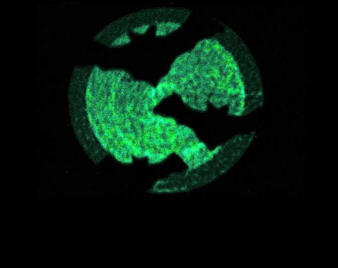 Bats with moon / Glow in the dark special designed machine embroidery / sizes 4x4 and 5x7 / file INSTANT DOWNLOAD