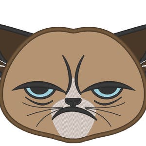 Può includere: Un gatto marrone con occhi azzurri e un'espressione scontrosa. Il gatto ha una macchia bianca sul petto e baffi bianchi.