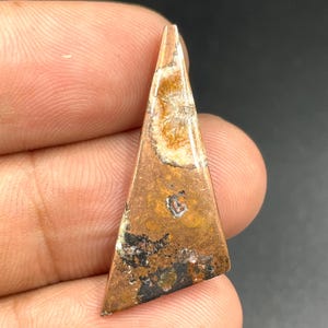 Puede incluir: Una gema triangular con una superficie pulida. La piedra presenta una mezcla de colores marrón, beige y negro, con un patrón único. La gema se sostiene entre los dedos, mostrando su tamaño y forma.