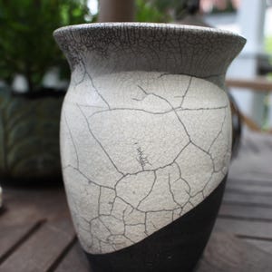 Raku Vase: Decorative Pottery for Orchids & Dried Flowers