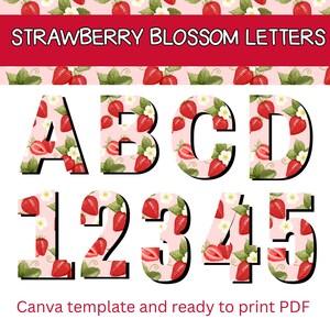 May include: Strawberry Blossom Letters in a pink floral design. The letters A, B, C, D and numbers 1, 2, 3, 4, 5 are displayed. The letters and numbers are decorated with strawberries and white flowers. The text "Strawberry Blossom Letters" is at the top.