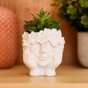 Könnte beinhalten: Ein weißer Keramik-Blumentopf in Form eines Gesichts, verziert mit floralen Details um den Kopf. Der Topf enthält eine grüne Sukkulente. Das Gesicht ruht auf seinen Händen, ein skurriles Dekorationsobjekt.