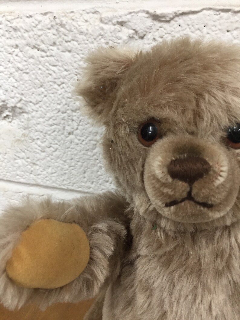 Steiff Teddy Bear with Ear Tag Attached made in Western Etsy