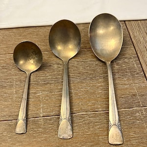 May include: Three antique silver spoons of varying sizes are arranged on a wooden surface. The spoons have oval bowls and long, slender handles with decorative detailing near the bowl. The spoons show signs of age and use.
