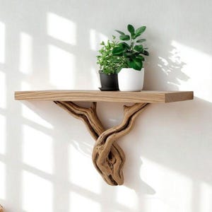Single Wall Tree Shelf | Driftwood Tree Bookshelf | Natural Wood Floating Wall Shelf Art | Shelf