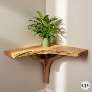 Corner Wall Tree Shelf | Driftwood Tree Bookshelf | Natural Wood Floating Wall Shelf Art | Shelf