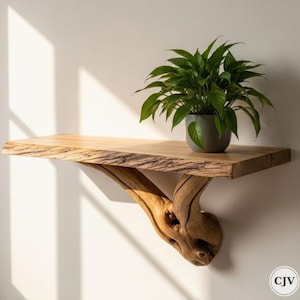 Wood Wall Shelf | Driftwood Tree Bookshelf | Natural Wood Floating Wall Shelf Art | Shelf