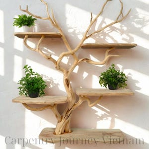 Wood Wall Shelf | Driftwood Tree Bookshelf | Natural Wood Floating Wall Shelf Art | Shelf