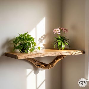 Corner Wall Tree Shelf | Driftwood Tree Bookshelf | Natural Wood Floating Wall Shelf Art | Shelf