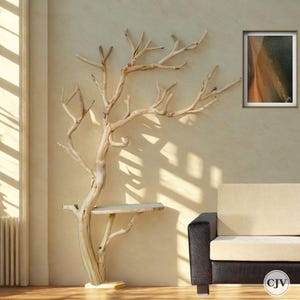 Curved Wall Tree Shelf | Driftwood Tree Bookshelf | Natural Wood Floating Wall Shelf Art | Shelf