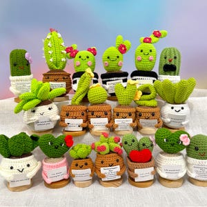 Handmade Crochet Succulent/Cactus/Aloe Potted Plant,Emotional Support,Christmas Gift For Teacher,Thank You Gifts,Crochet for Work Colleague