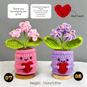 Pu&ograve; includere: Due vasi per piante all'uncinetto, uno rosa e uno viola, ciascuno con una pianta all'uncinetto con foglie verdi e fiori rosa o viola. Ogni vaso ha una faccia sorridente e un cuore rosso. Altezza: 15 cm.