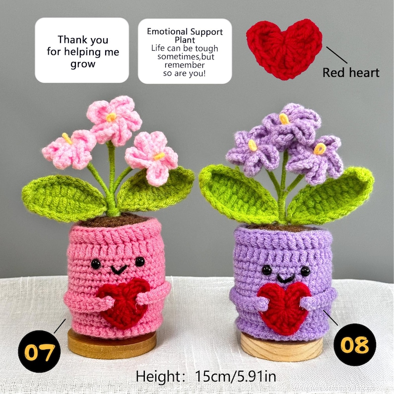 Pu&ograve; includere: Due vasi per piante all'uncinetto, uno rosa e uno viola, ciascuno con una pianta all'uncinetto con foglie verdi e fiori rosa o viola. Ogni vaso ha una faccia sorridente e un cuore rosso. Altezza: 15 cm.