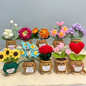 Handgjord virkad krukblomma, växt för emotionellt stöd, mors dag-present till mamma, stickad blomma för alltid, virkade solrosor/rosor/liljor