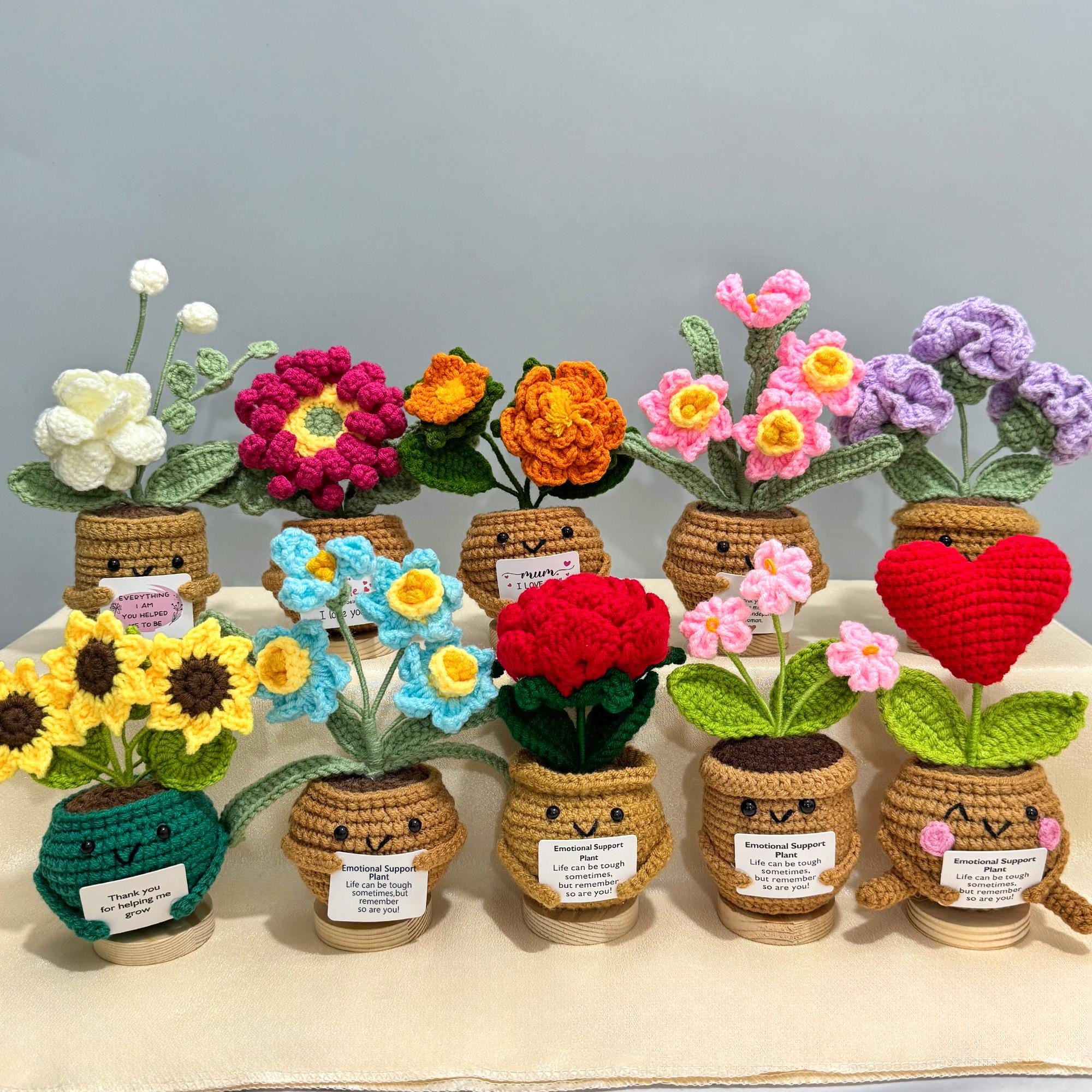 Handmade Crochet Potted Flower, Emotional Support Plant, Mother's