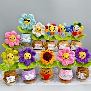 May include: A collection of colorful, crocheted flowers with smiling faces, each in a small pot. The flowers are various colors, including blue, pink, yellow, and purple, with green leaves. Some pots have small signs.